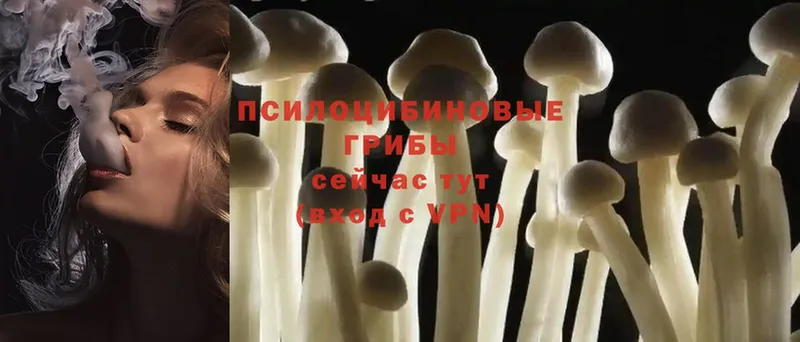 МЕГА маркетплейс  Островной  Галлюциногенные грибы Psilocybine cubensis 